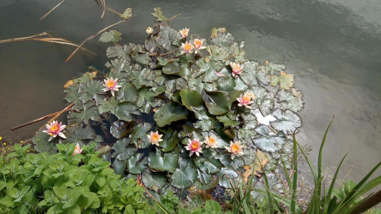 Chambre Coin Nature Fromelles Buitenkant foto